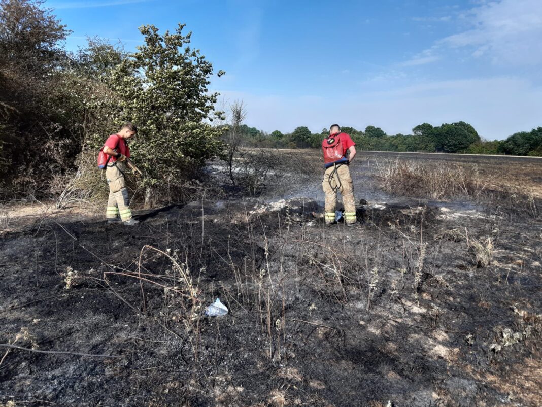 Cranford Park Fire