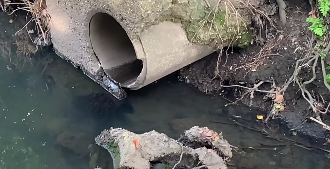 Concern for eels and pollution in River Brent