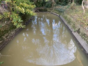 Pollution on River Brent