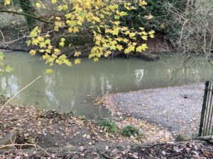 Pollution on River Brent