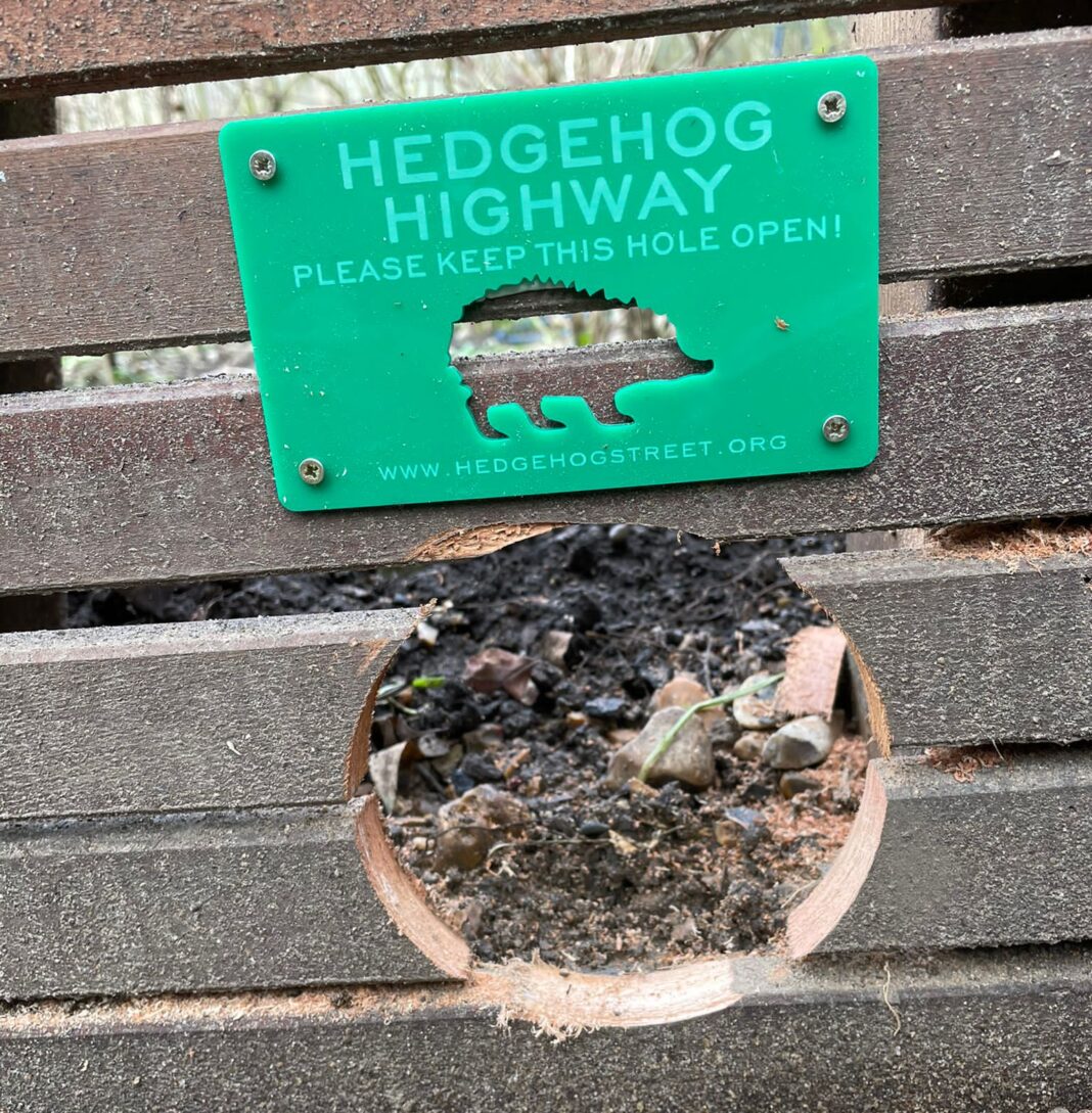 Hedgehog highway