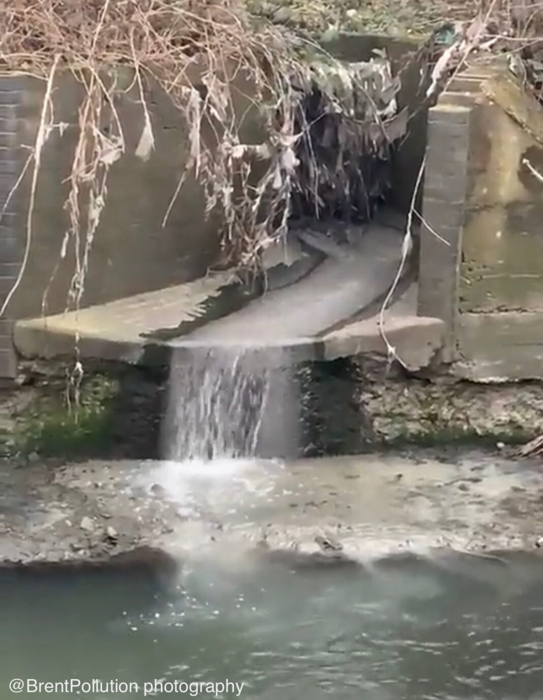 Pollution Outfall from Brent Lodge Park