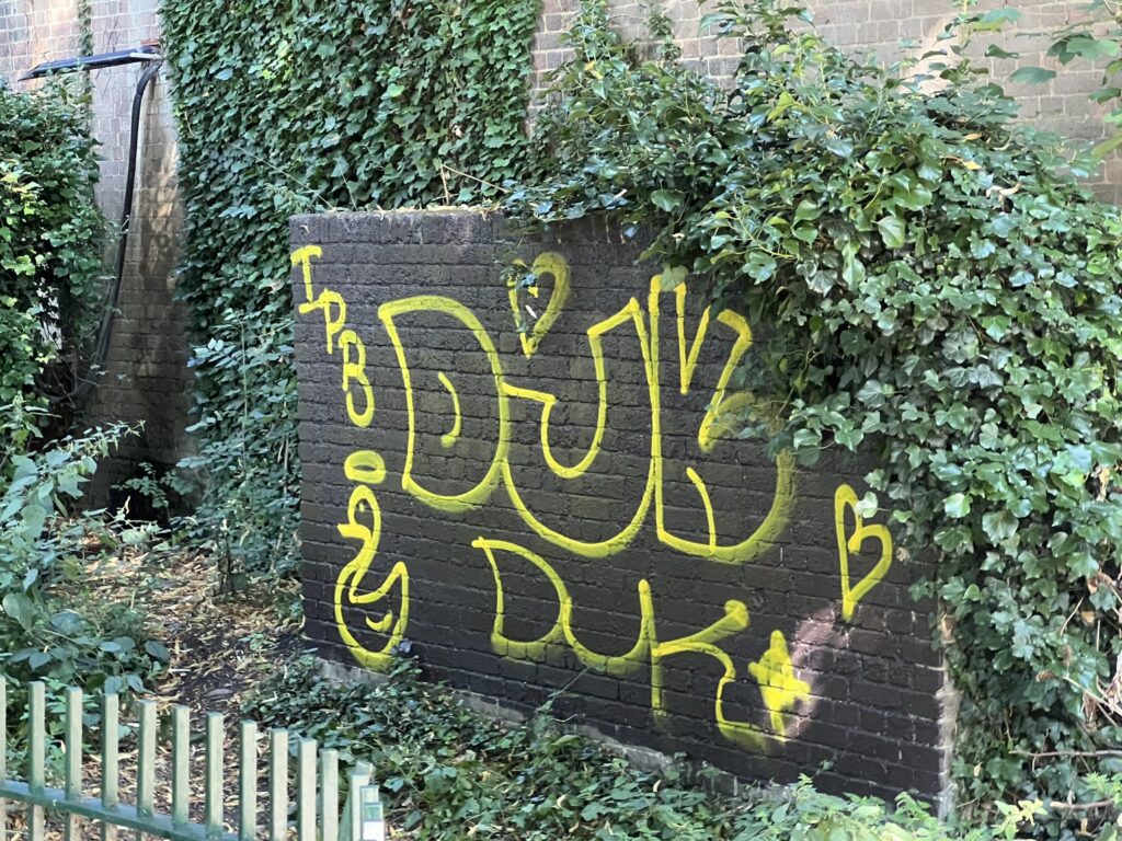 Graffiti on wall next to Connolly Dell. Photo: David Buck