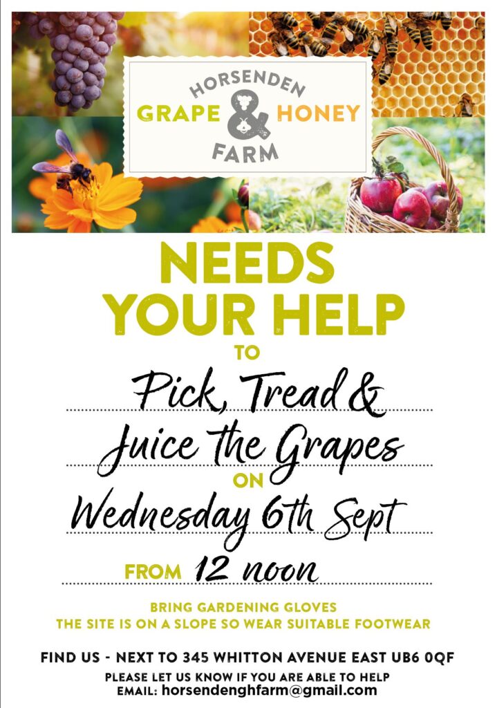 Horsenden Grape & Honey Farm