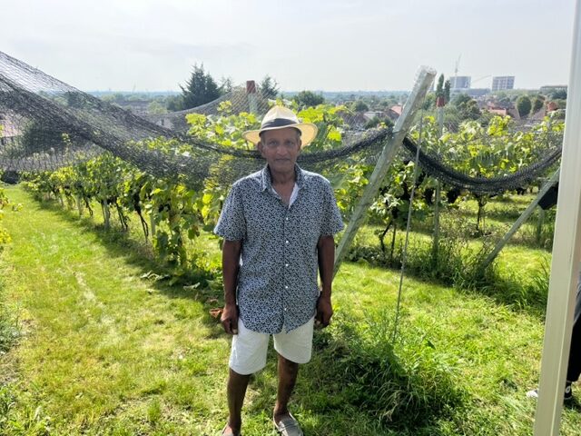 Jospeh Mangar at Horsenden Grape & Honey Farm. Photo: EALING.NEWS