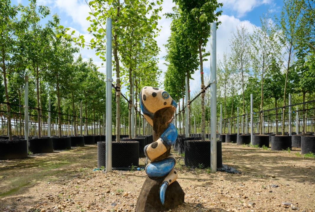 Tree nursery at Southall's The Green Quarter. Photo: Berkeley Group