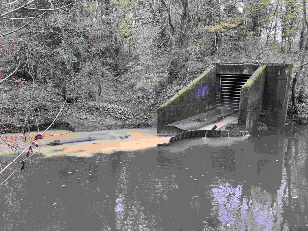 Sewage outfall into River Brent. Photo: Ben Morris