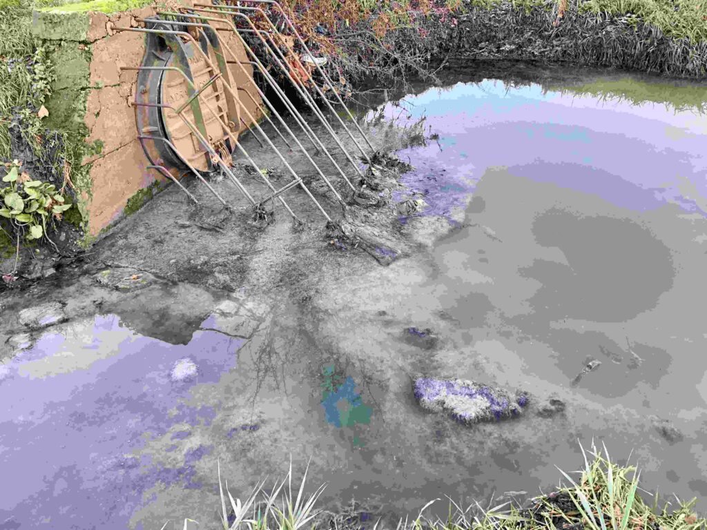 Sewage outfall into River Brent. Photo: Ben Morris