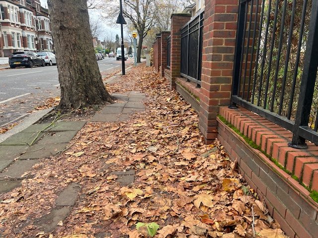 Leaves in Ealing .Photo: EALING.NEWS