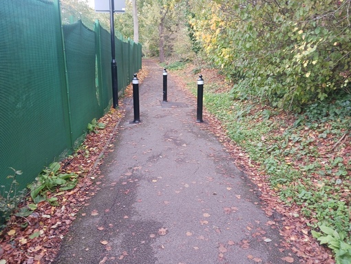 Masons Green Lane. Photo: Athena Zissimos